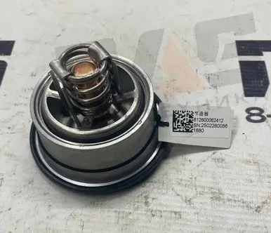 Термостат WD10, WP10 (71 град.)